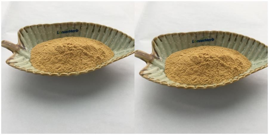 Soybean Extract Powder, Soy Isoflavone 40%