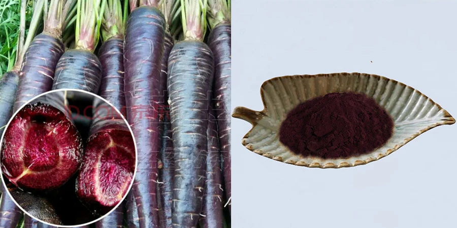 Black Carrot Powder suppliers Black Carrot Powder suppliers
