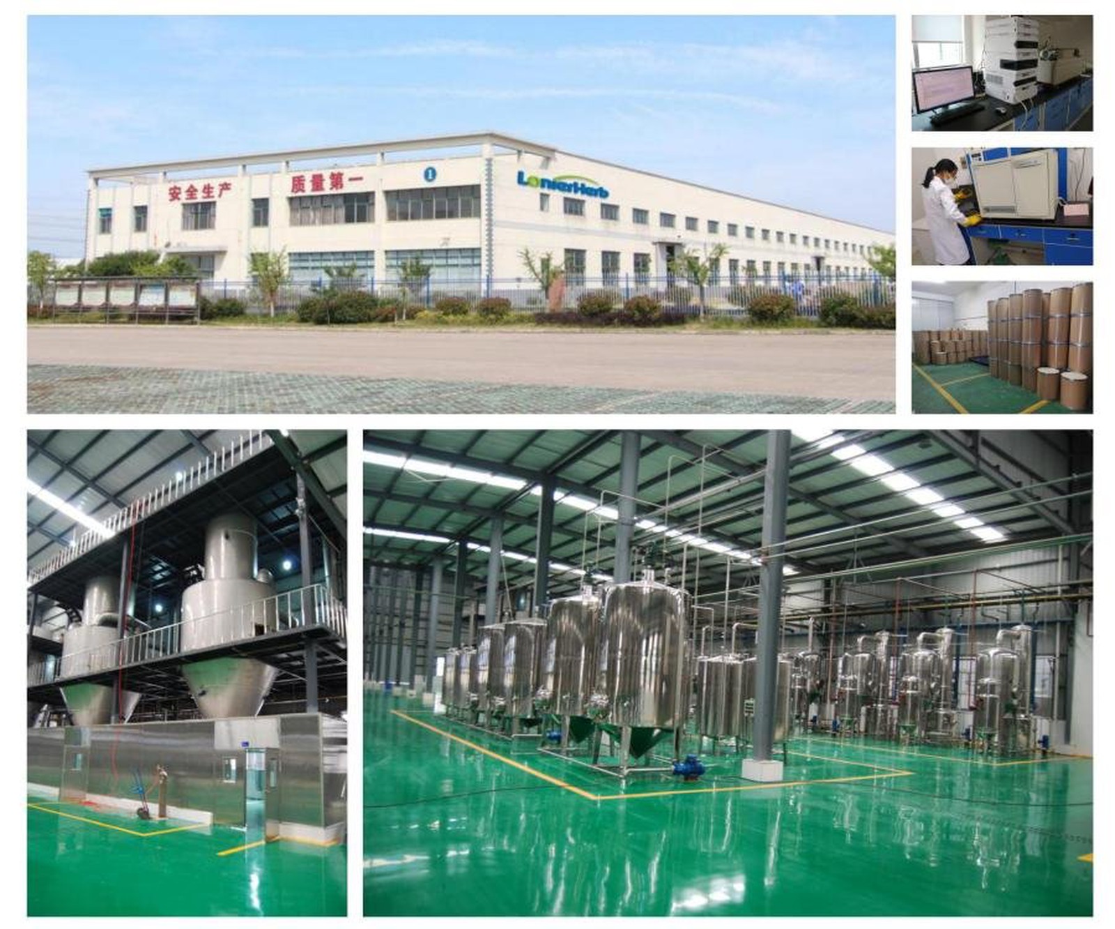 LonierHerb PQQ Powder Factory LonierHerb PQQ Powder Factory