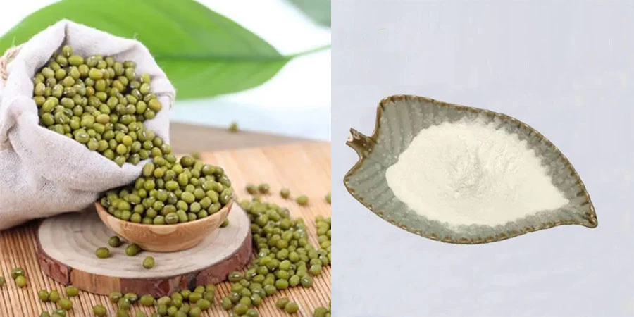 High quality Mung Bean Protein Powder