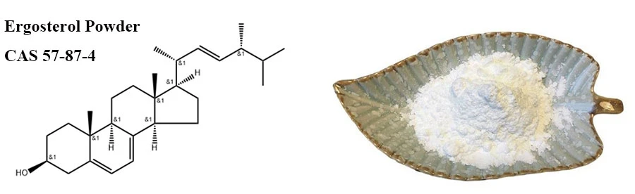 Ergosterol