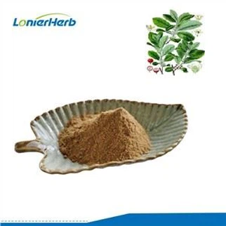 Екстракт Иерба Мате