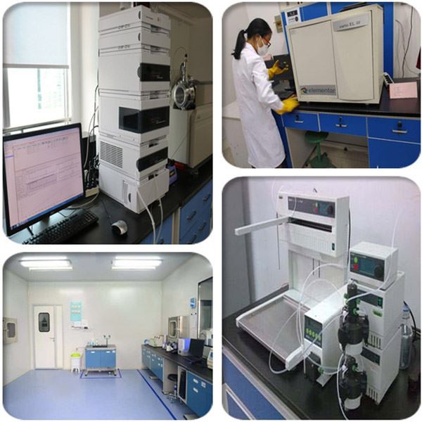 Rheum Rhaponticum Extract