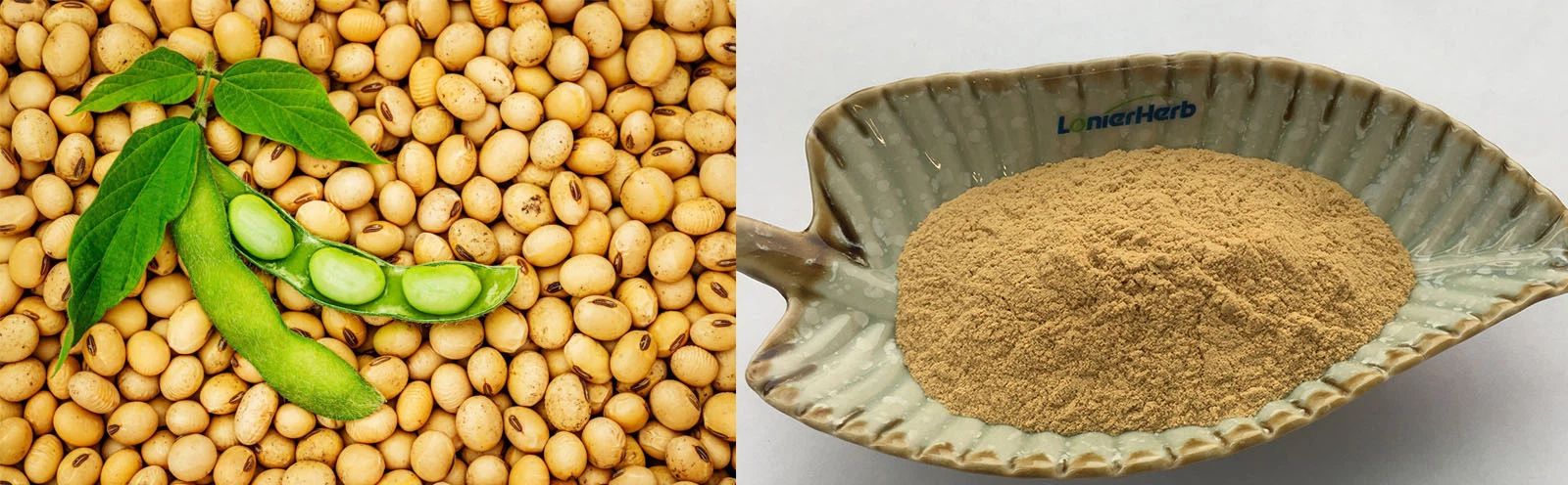 Phosphatidylserine Phosphatidylserine